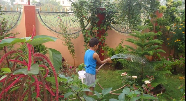 Our modest garden was my sanctuary—a place that allowed me to believe in possibilities beyond the humble walls of our home. It taught me early on that dreams, like seeds, grow best when carefully tended.