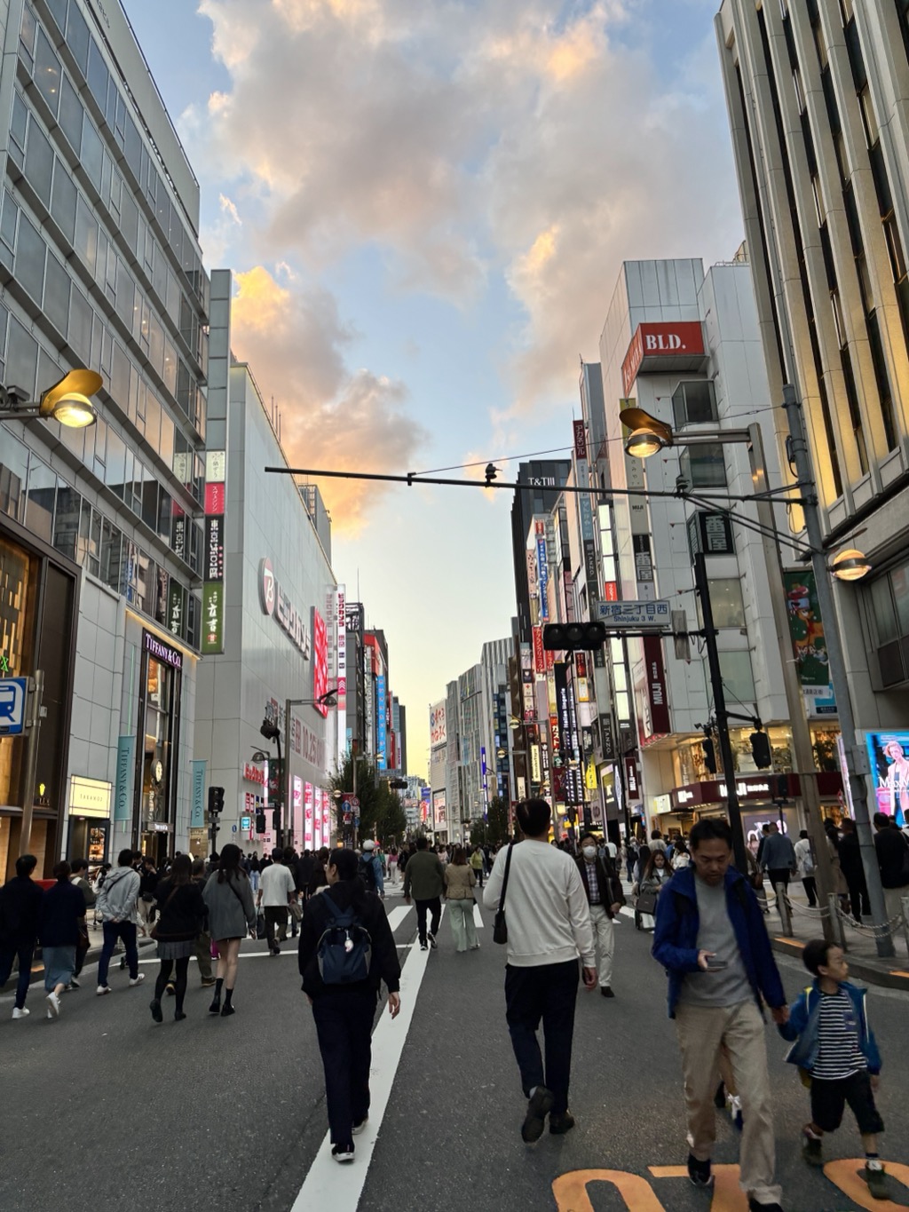 Traveling alone across Japan, every encounter became meaningful. Tech wasn't just a convenience; it was a pathway to shared understanding and mutual respect.